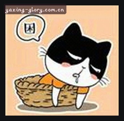 刘洋